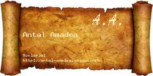 Antal Amadea névjegykártya